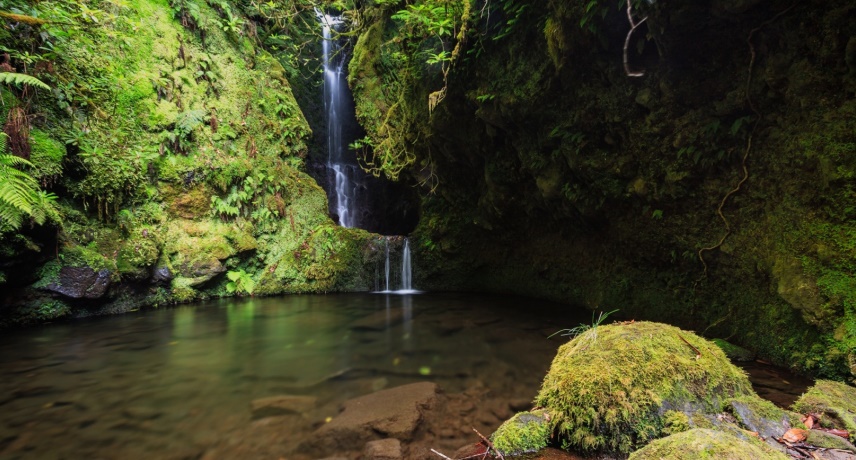 11 Melhores Locais para nadar na natureza na Madeira- poço das pulgas- francisco gonçaslves
